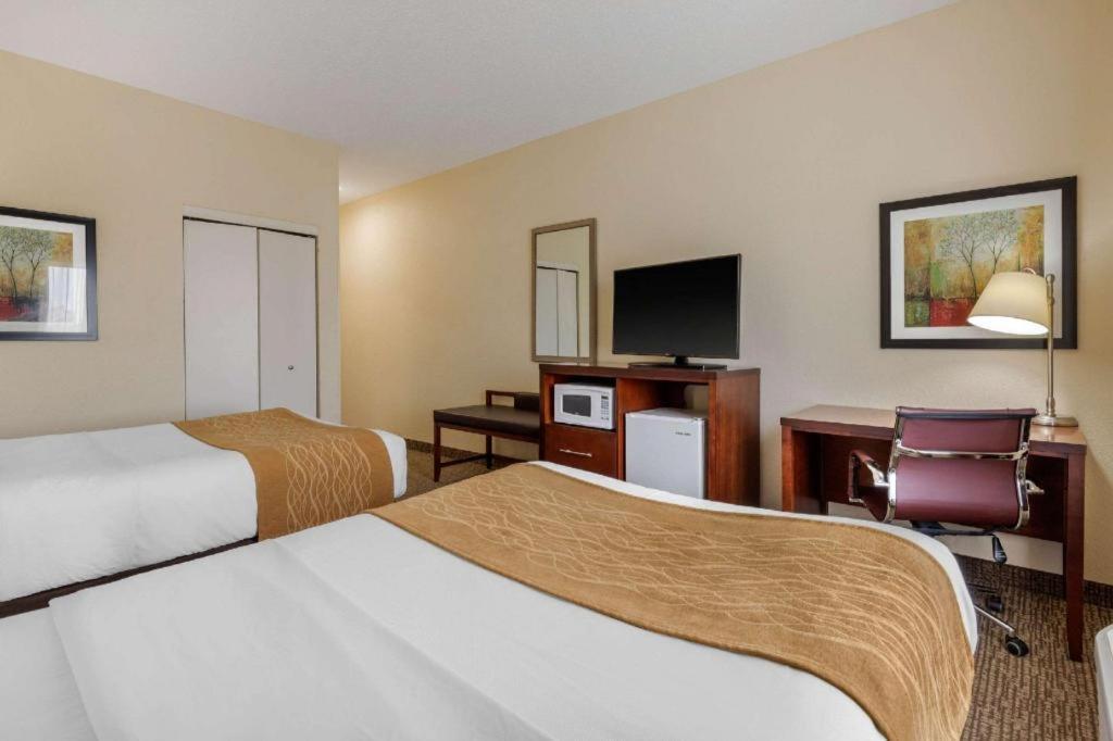 Comfort Inn & Suites Camden Exteriér fotografie