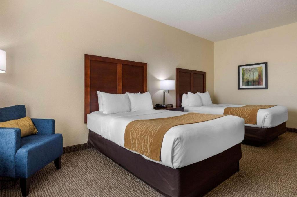 Comfort Inn & Suites Camden Exteriér fotografie